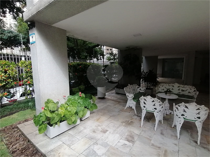 Foto REO1085226