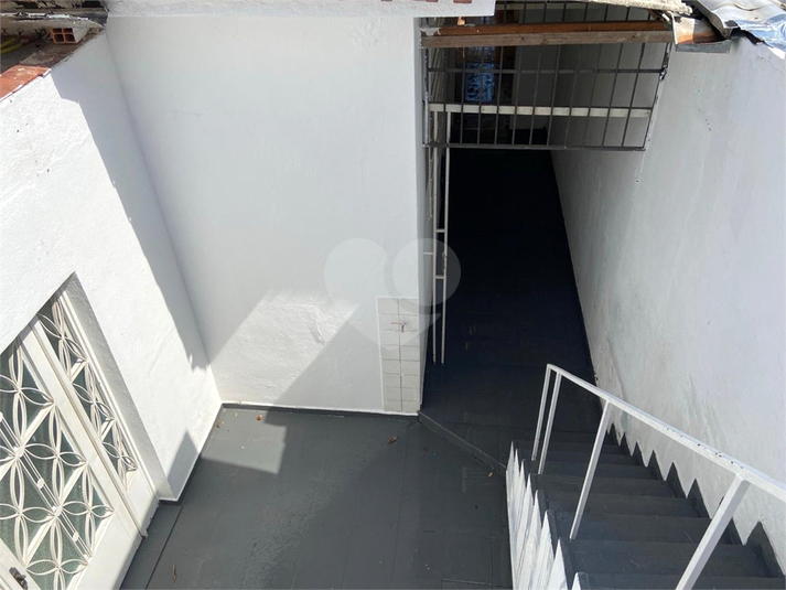 Foto REO1085228