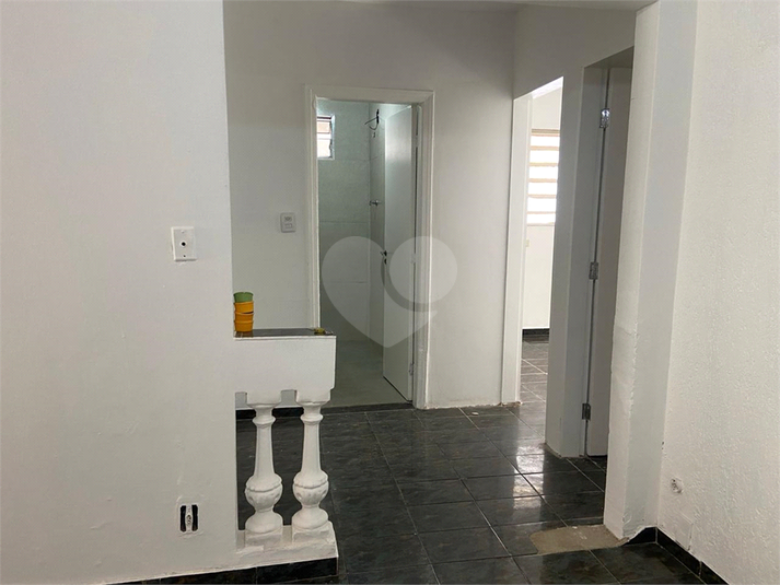 Foto REO1085228