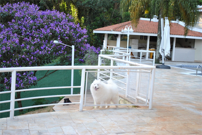 Foto REO1085255