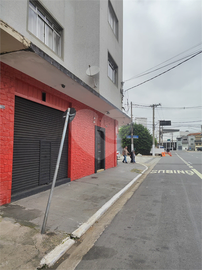 Foto REO1085273
