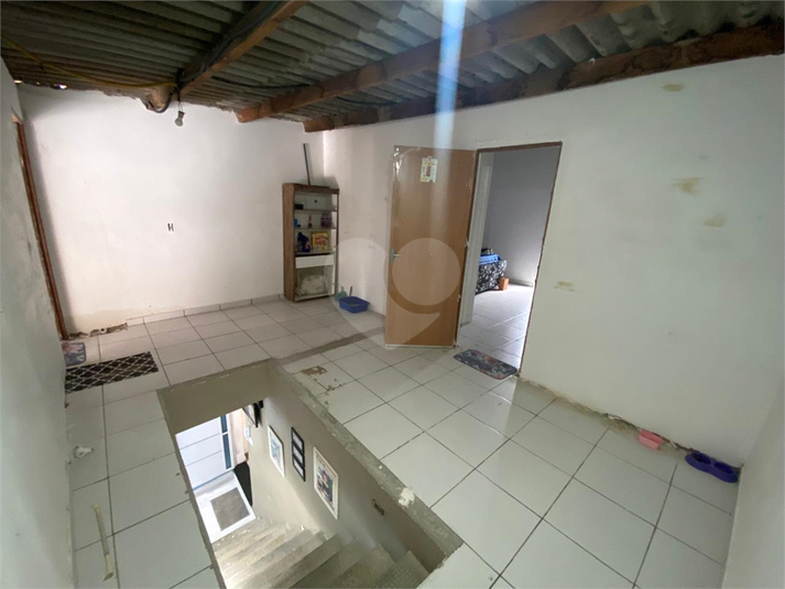 Foto REO1085282