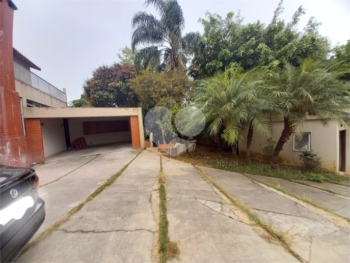 Foto REO1085329