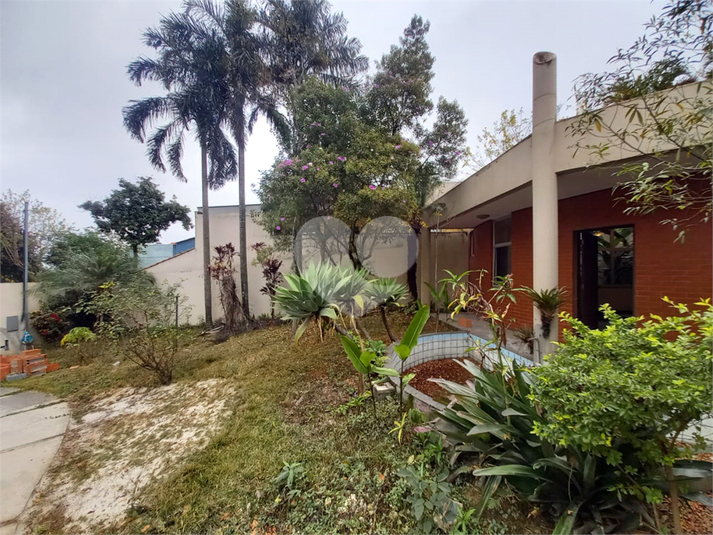 Foto REO1085329
