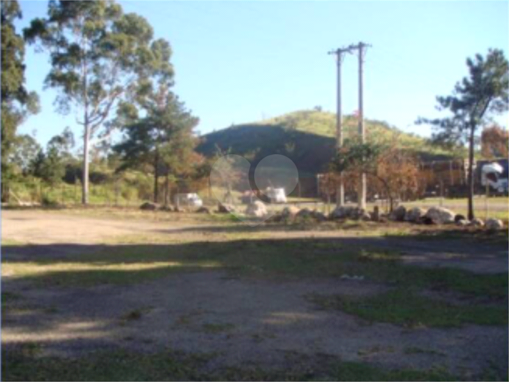 Foto REO1085333