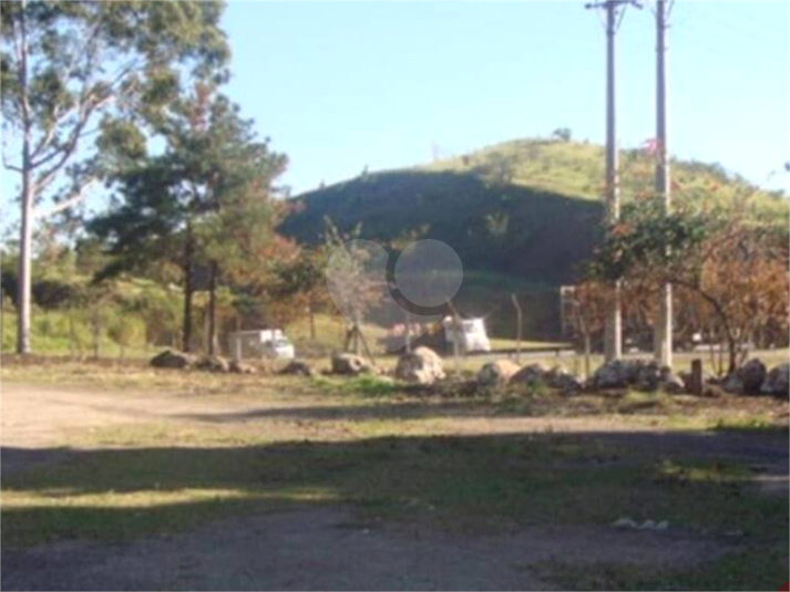 Foto REO1085333