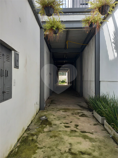 Foto REO1085360
