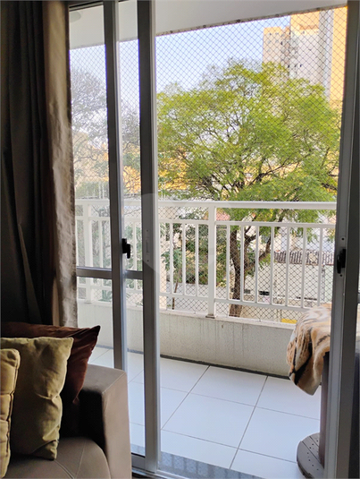 Foto REO1085381