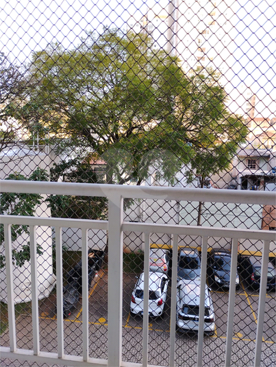 Foto REO1085381