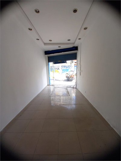 Foto REO1085383
