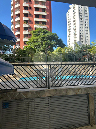 Foto REO1085387