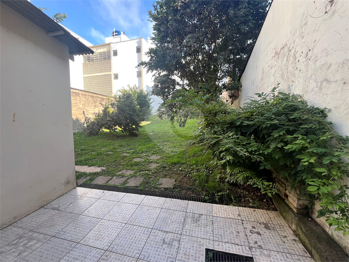 Foto REO1085399