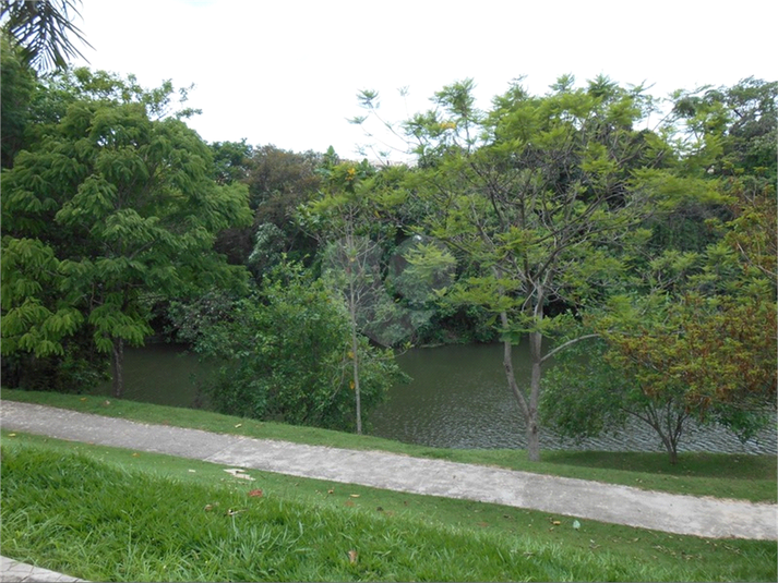 Foto REO1085409