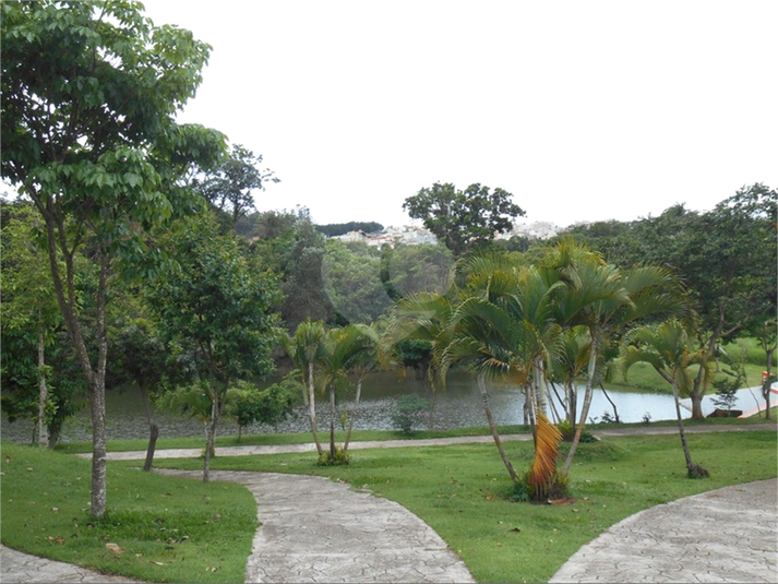 Foto REO1085409
