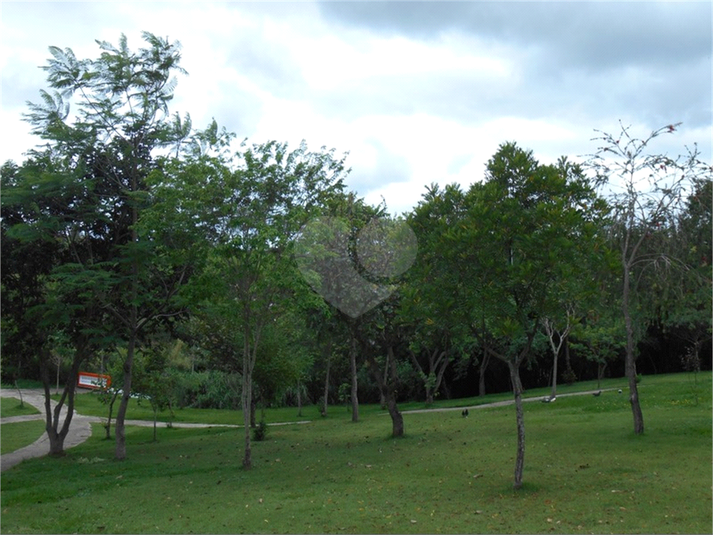 Foto REO1085409