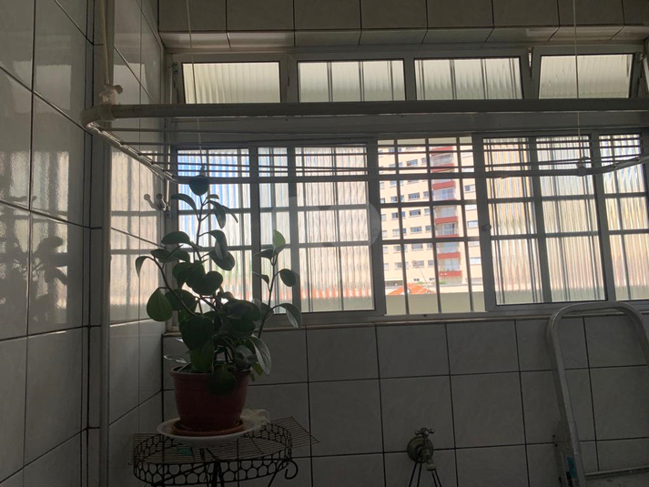 Foto REO1085424