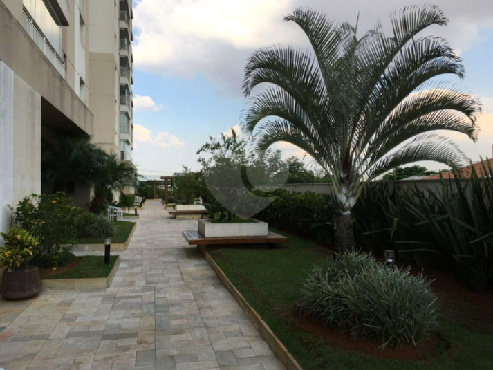Foto REO1085434