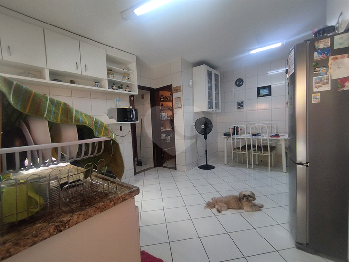 Foto REO1085461