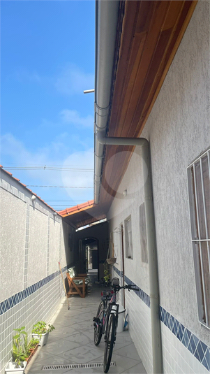 Foto REO1085488