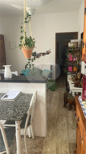 Foto REO1085488