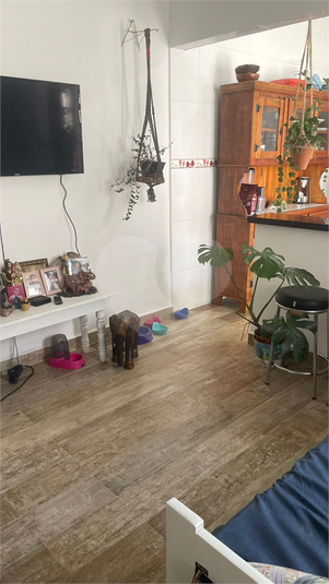 Foto REO1085488