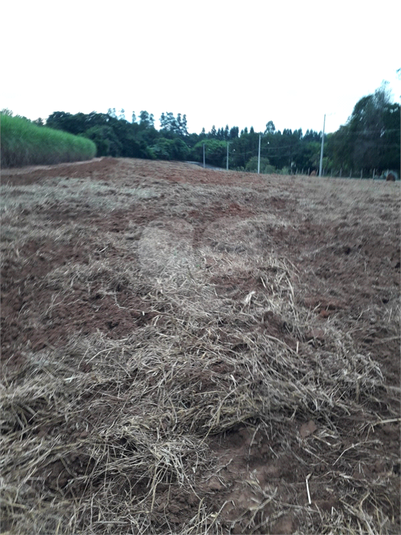 Foto REO1085492