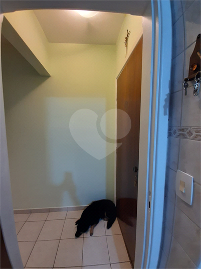 Foto REO1085535
