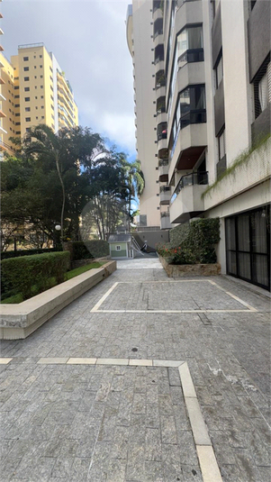 Foto REO1085550