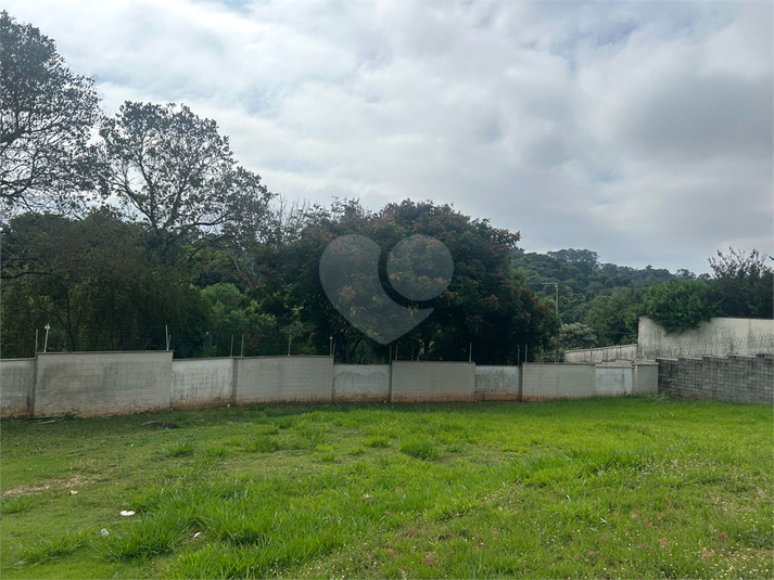 Foto REO1085567
