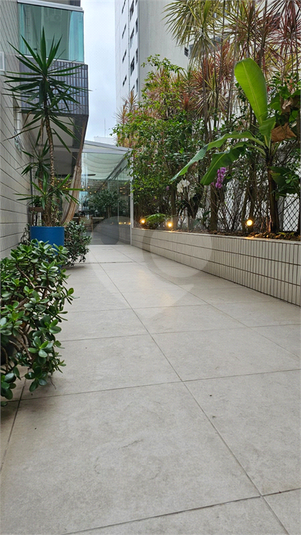 Foto REO1085577