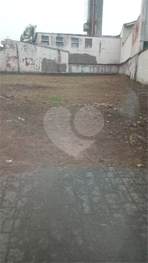 Foto REO1085605