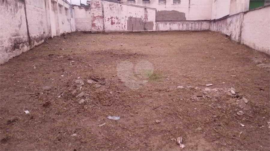 Foto REO1085605