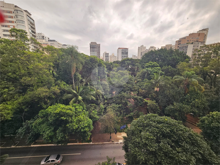 Foto REO1085612