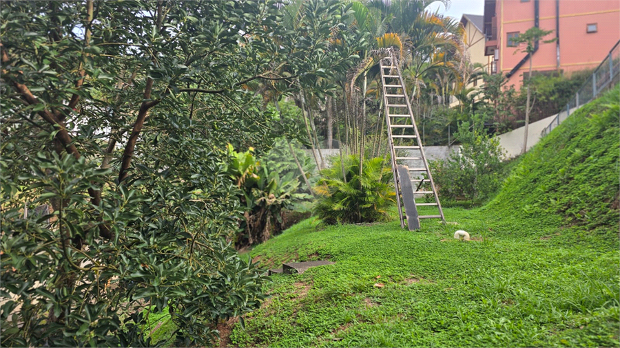 Foto REO1085621