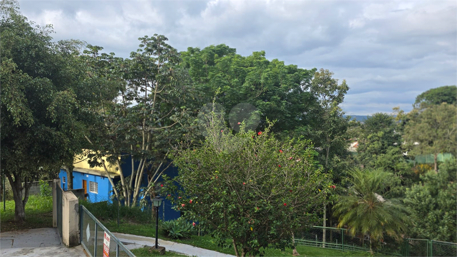 Foto REO1085621