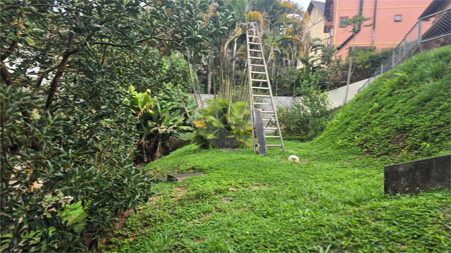 Foto REO1085621