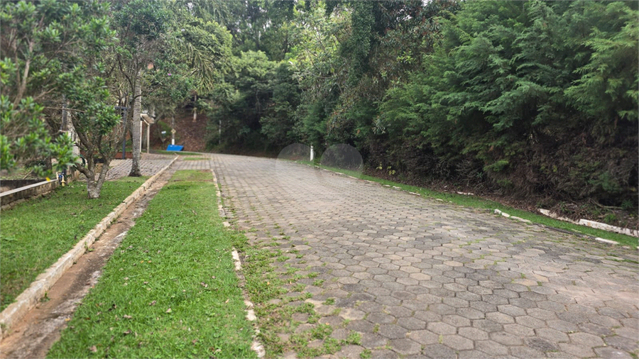 Foto REO1085621