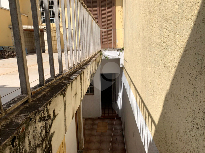 Foto REO1085627