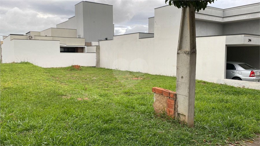 Foto REO1085629