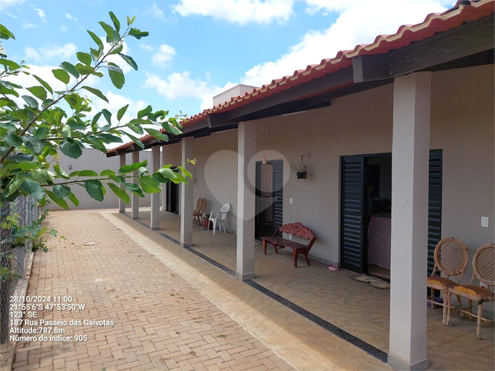 Foto REO1085635