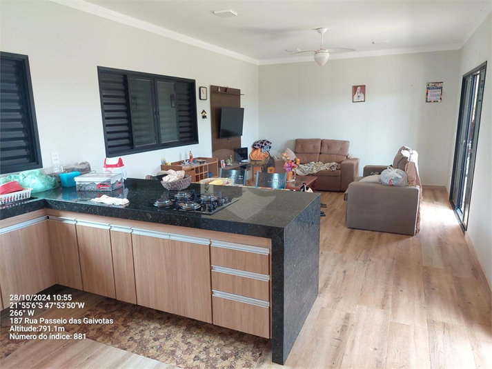 Foto REO1085635