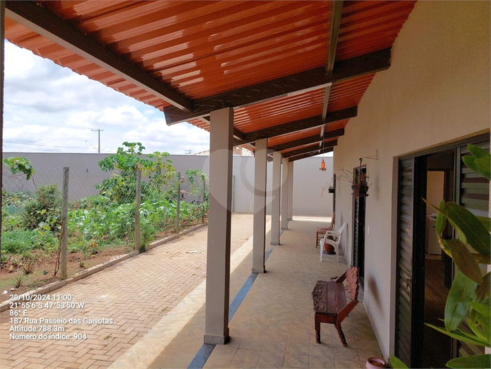Foto REO1085635