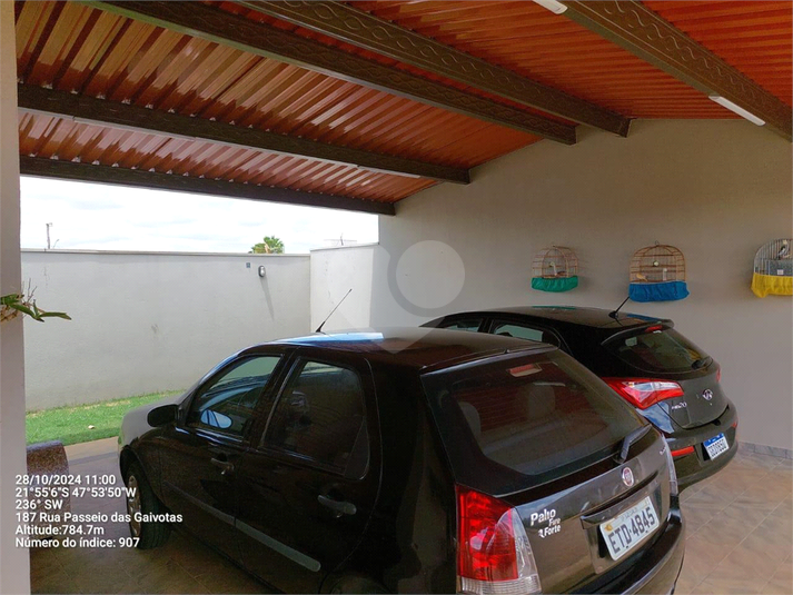 Foto REO1085635
