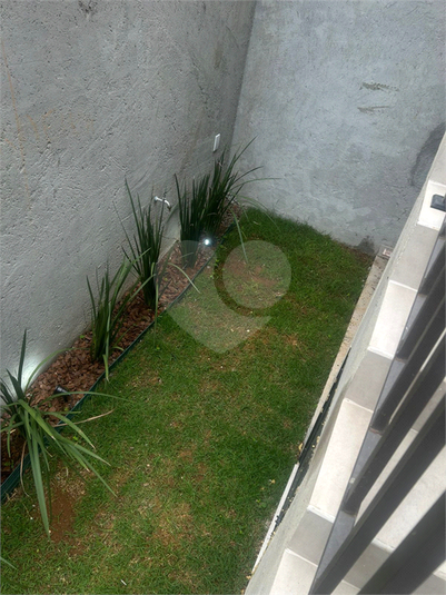 Foto REO1085640