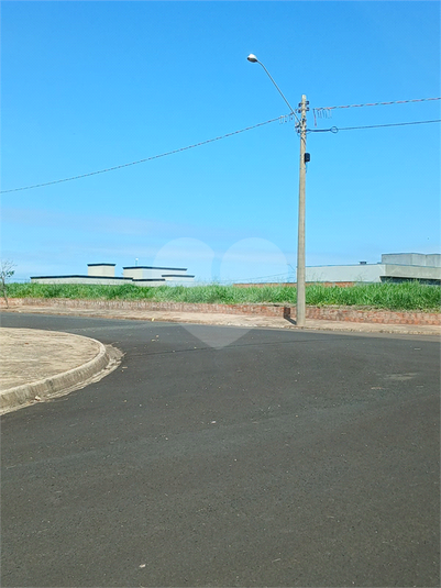 Foto REO1085660