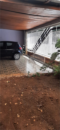 Foto REO1085665