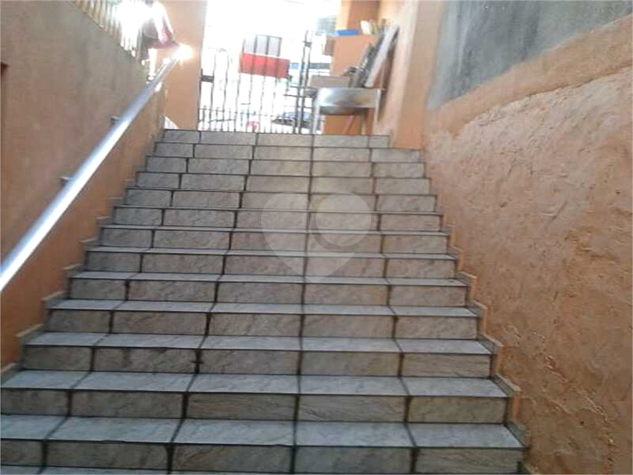 Foto REO1085669