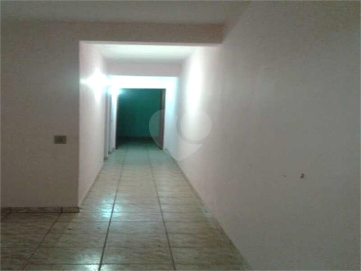 Foto REO1085669