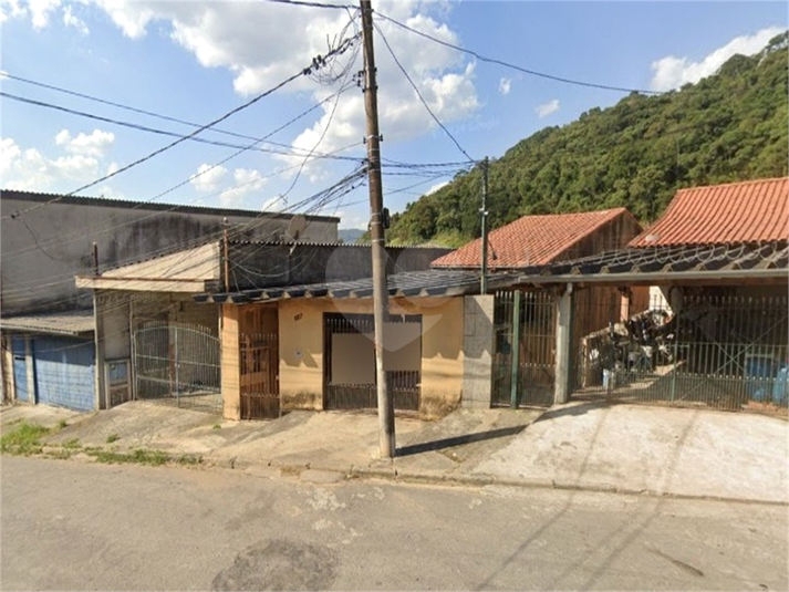 Foto REO1085669