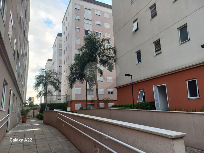 Foto REO1085687